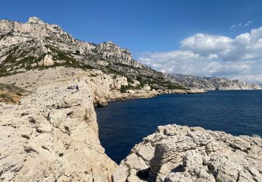 Tour Wandern Marseille - Calanques de Marseille  - Photo