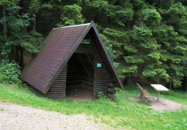 Tour Zu Fuß Brotterode-Trusetal - Rundwanderweg - Photo