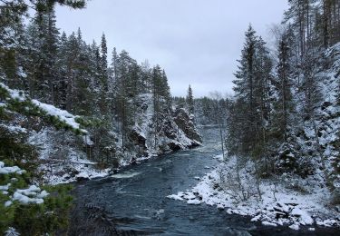 Percorso A piedi Kuusamo - Oulangan erämaareitti (Talvireitti) - Photo