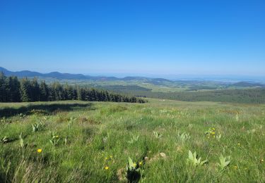 Tour Wandern Saulzet-le-Froid - 280522 Ferme de la tâche / Lac de Servière  - Photo