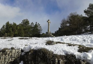 Tour Zu Fuß Vistabella del Maestrat - Sant Joan - Sant Joan por Monte Bovalar - Photo