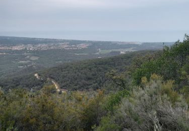 Tour Wandern Argelès-sur-Mer - Balade château de Valmy. Chapelle Saint-Laurent - Photo