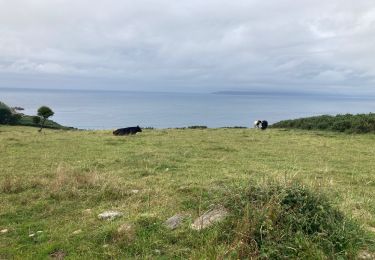 Tocht Stappen Beuzec-Cap-Sizun - Beuzec-Cap-Sizun  - Photo