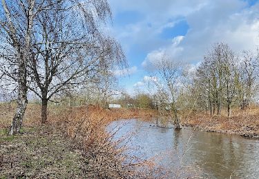 Tour Wandern Ostheim - Le long de la rivière Fecht à Ostheim en France - Photo