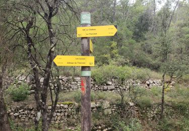 Tour Wandern Le Thoronet - Le chemin des moines - Photo