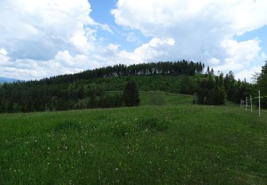 Percorso A piedi Stiwoll - Wanderweg 1 - Photo