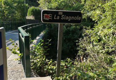 Trail Walking Mons - Siagnole - Photo