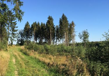 Tour Zu Fuß Fuldabrück - Bergshausen - Stellbergsee - Photo