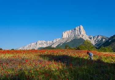 Tour Rennrad Lus-la-Croix-Haute - C21 - Le Trièves - Photo