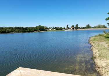 Tour Wandern Valigny - étang de goule - Photo