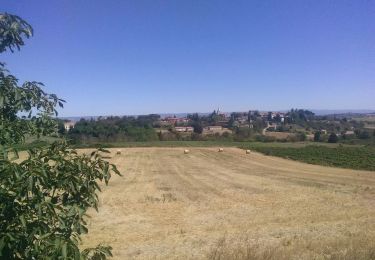 Percorso Equitazione Bellegarde-du-Razès - Mercredi 5 août réel - Photo