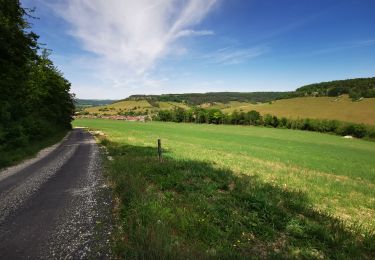 Randonnée V.T.T. Froncles - Hte-Marne à VTT : entre val de Marne, Rognon et plateaux - Photo