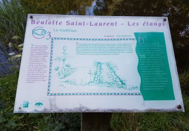 Percorso Marcia Beulotte-Saint-Laurent - Beulotte St Laurent - le plateau des Mille Etangs - Photo