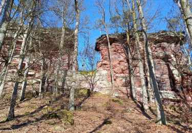 Tour Wandern Stürzelbronn - sturenbron alsace - Photo