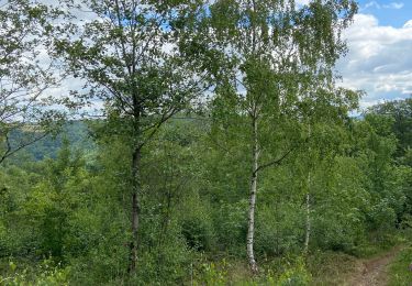 Tour Wandern Trooz - Trasenstère - Photo