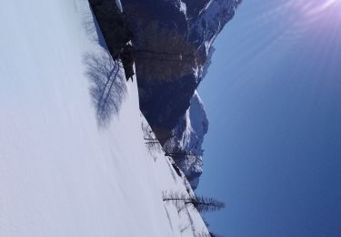 Trail Touring skiing Tignes - col de la sache et Col de la sachette - Photo