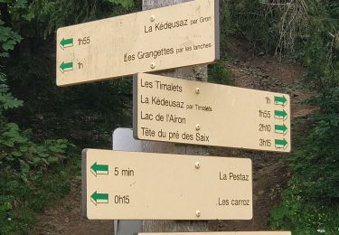Trail Walking Arâches-la-Frasse - Les crêtes des Carroz, l'Airon - Photo