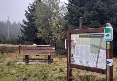 Trail Horseback riding La Roche-en-Ardenne - Route d'Artagnan Manhay - Photo