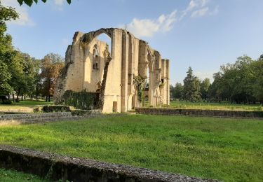 Excursión Bici de carretera Soisy-sur-École - Verrerie Gare de Melun - Photo