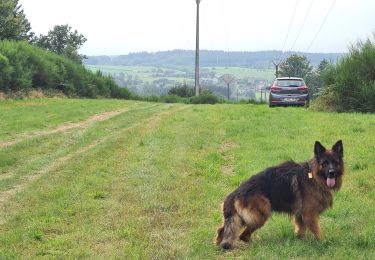 Tocht Stappen Paliseul - Haute tension en boucle  - Photo