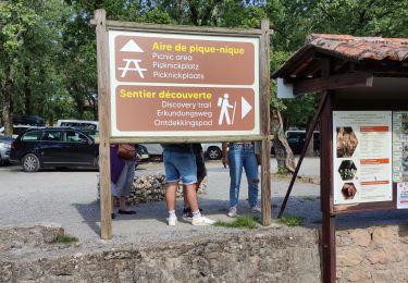 Trail Walking Courry - ARDECHE/GARD COURY Grotte de la cocaliere sentier de decouvertegrotte de la cocaliere - Photo