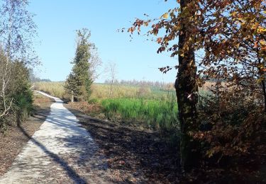 Trail Cycle Libramont-Chevigny - voie lente libramont chevigny amberloup gpx - Photo