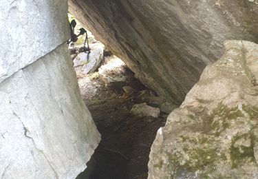 Tour Wandern Pralognan-la-Vanoise - Retour du col de la vanoise - Photo