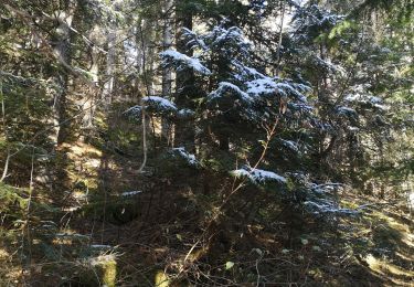 Tocht Noords wandelen Arbaz - le pertou - Photo