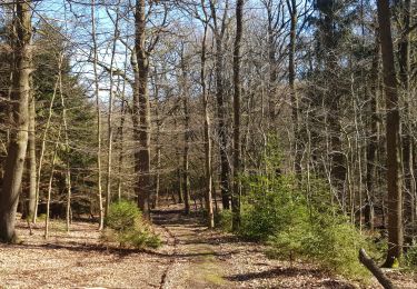 Trail Walking Raeren - 2021-03-04_18h10m39_1023 - Photo