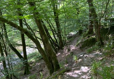 Tour Wandern Florenville - Azy-les épioux depuis Chassepierre - Photo