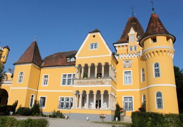 Tocht Te voet Ehrenhausen an der Weinstraße - Ehrenhausen 2 - Photo