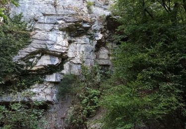 Tocht Te voet Sassenage - Les Gorges du Furon - Photo