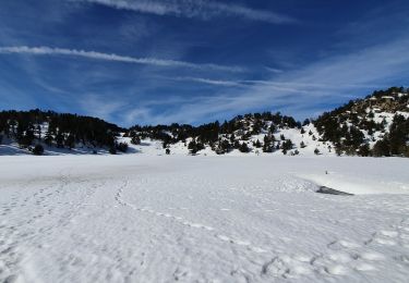 Tocht Stappen Les Angles - voie blanche Les Angles 2020 - Photo