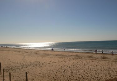 Tocht Te voet  - Sendero Dunas de Isla Cristina - Photo