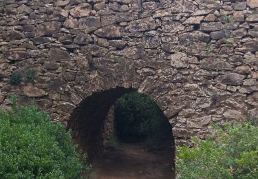 Trail Walking Le Castellet - chapelle ste Anne b de Castillon - Photo