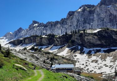 Tocht Stappen Samoëns - Refuges de Bostan et de la Golèse - Photo