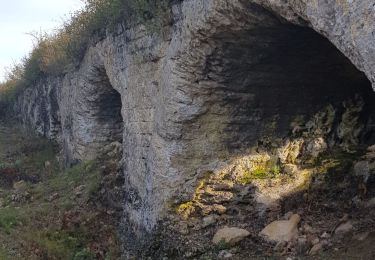 Trail Walking Vers-Pont-du-Gard - La lône Vers pont du gard - Photo