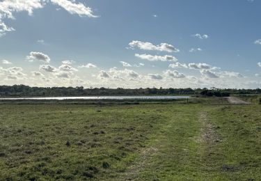 Excursión Bicicleta híbrida Vendays-Montalivet - Vendays - Larnac - Queyrac - Photo