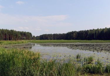 Tocht Te voet  - Szlak Powstań Śląskich - Photo