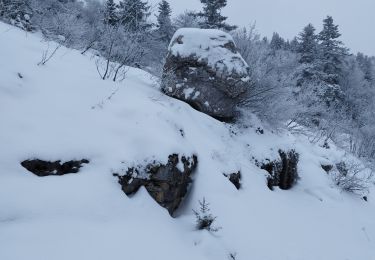 Trail Walking Lans-en-Vercors - vertige des cimes  - Photo