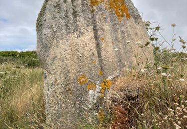 Trail Walking Trébeurden - Tour de l’île grande - Photo