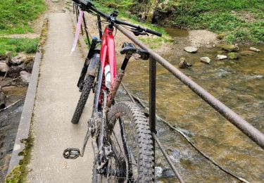 Trail Mountain bike Vernaison - charly - Photo
