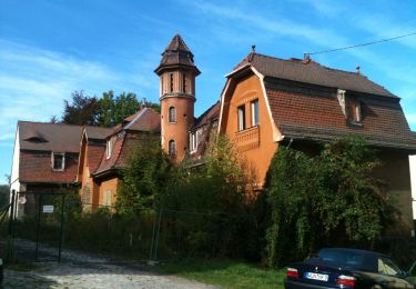 Tour Zu Fuß Arzberg - Arzberg [5] Museumsweg - Photo