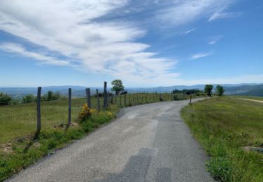 Trail Road bike Saint-Germain-Nuelles - Valsonne - Photo