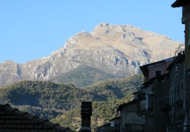 Trail On foot Pigna - Pigna - Passo Muratone - Photo