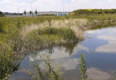 Tour Wandern Oupeye - Mosa sans boucle du début  - Photo