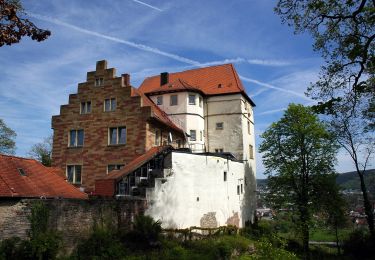 Randonnée A pied Obrigheim - Rundwanderweg Bickeldorn 6: Schloss-Neuburg-Weg - Photo