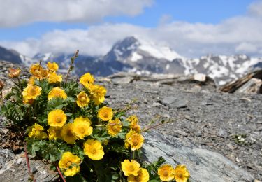 Trail Walking Bonneval-sur-Arc - Col des fours - Photo