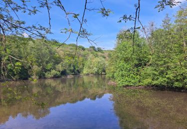 Tour Wandern Buc - Étangs de Buc - Photo