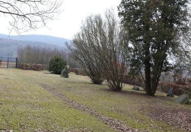 Tour Zu Fuß Lichtenfels - Nordic Walking LIF gelb - Photo